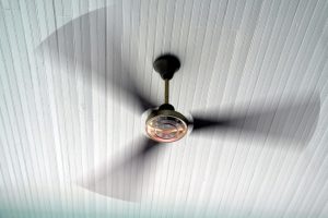 ceiling fan 